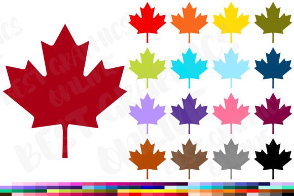 Download Maple Leaf Clipart Canadian Leaves Image - Premium Resources