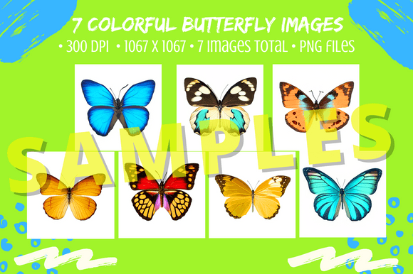 Download 7 Pretty Butterflies Color Image Bundle - Image Collection