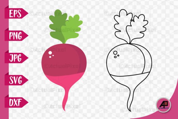 Download Beetroot Outline with Color Image - Image Collection